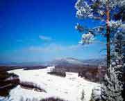 呼中天气预报10天