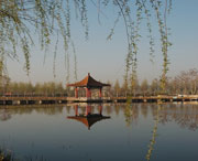 黑山天气预报40天