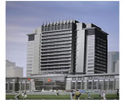 饶阳天气预报10天