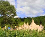 石楼天气预报40天