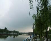 鱼台天气预报40天