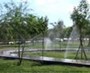 若羌天气预报60天