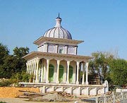 莎车天气预报10天