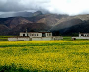 拉孜天气预报60天