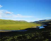 泽库天气预报60天