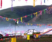 曲麻莱明天天气