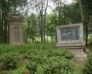 封丘天气预报7天