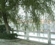 商城天气预报15天