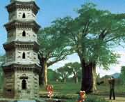 太康天气预报10天