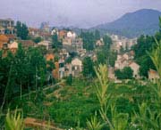 大悟天气预报60天