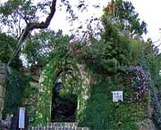 临安天气预报15天