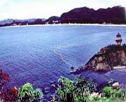 玉环天气预报40天