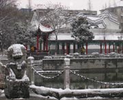 太和天气预报40天