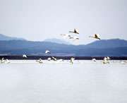 东至天气预报7天