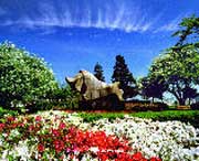 庐山天气预报40天