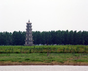 沅江天气预报40天