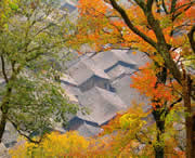 三穗天气预报40天