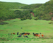 昭觉天气预报60天