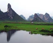 清远天气预报7天