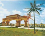 阳东天气预报7天