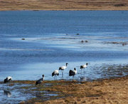 会泽天气预报30天