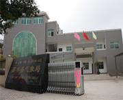 西林天气预报40天