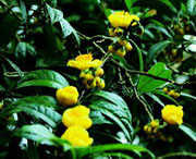 防城天气预报7天